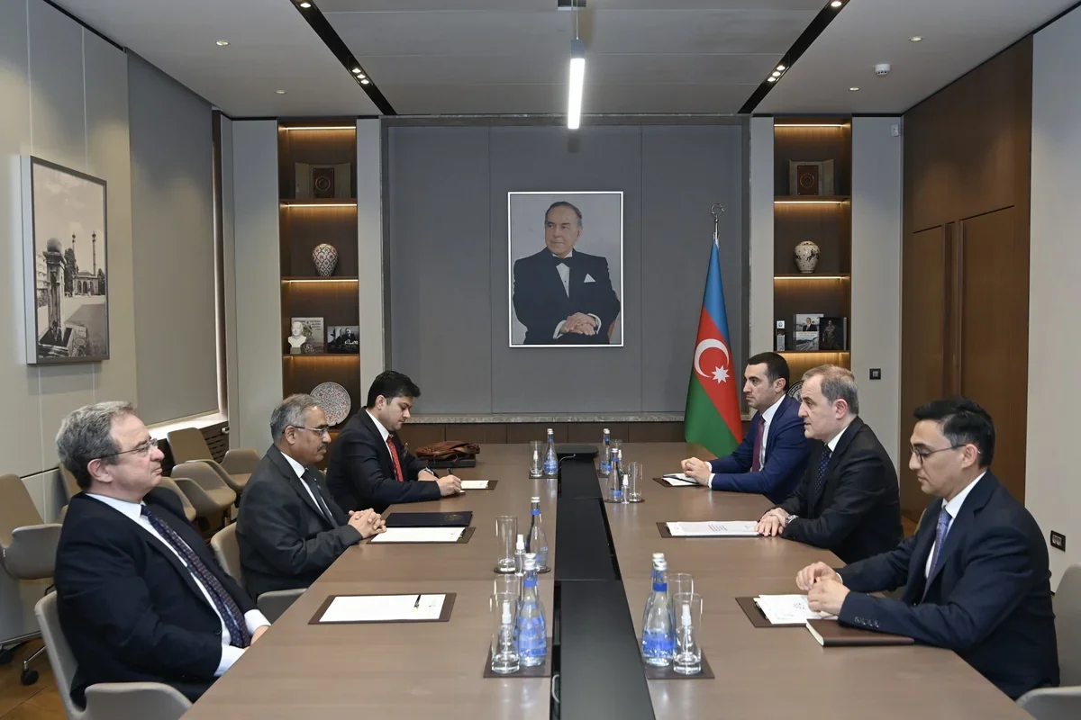 Azərbaycan və D-8 arasında əməkdaşlıq perspektivləri müzakirə olunub