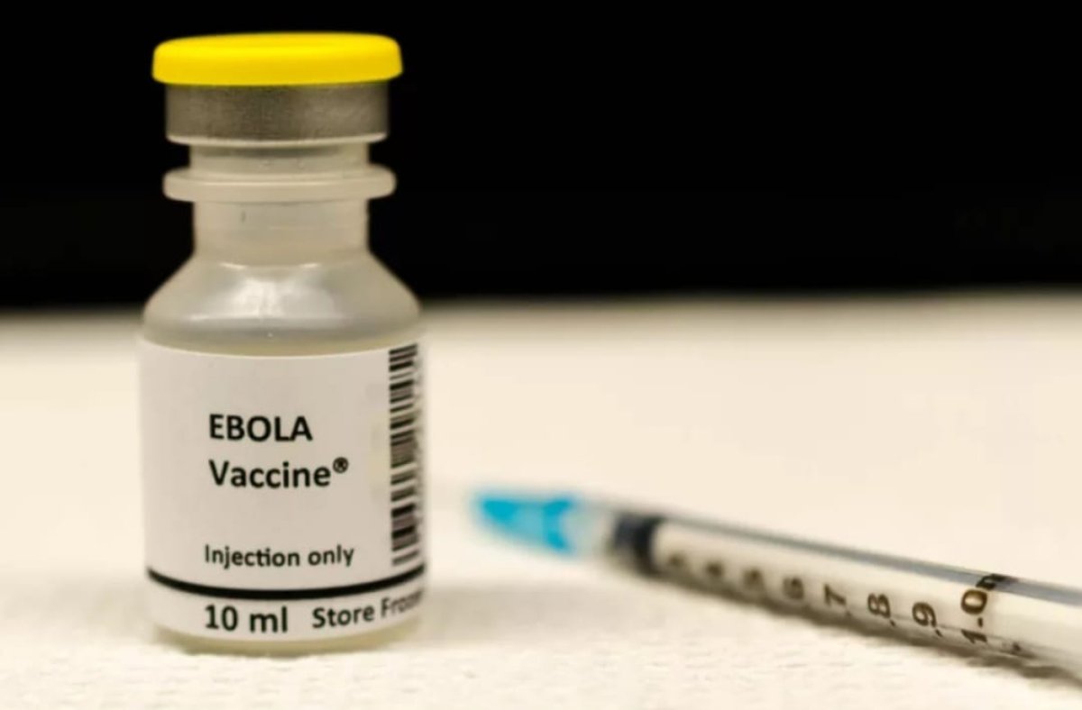 ÜST Ebola peyvəndlərindən istifadəyə başlaya bilər
