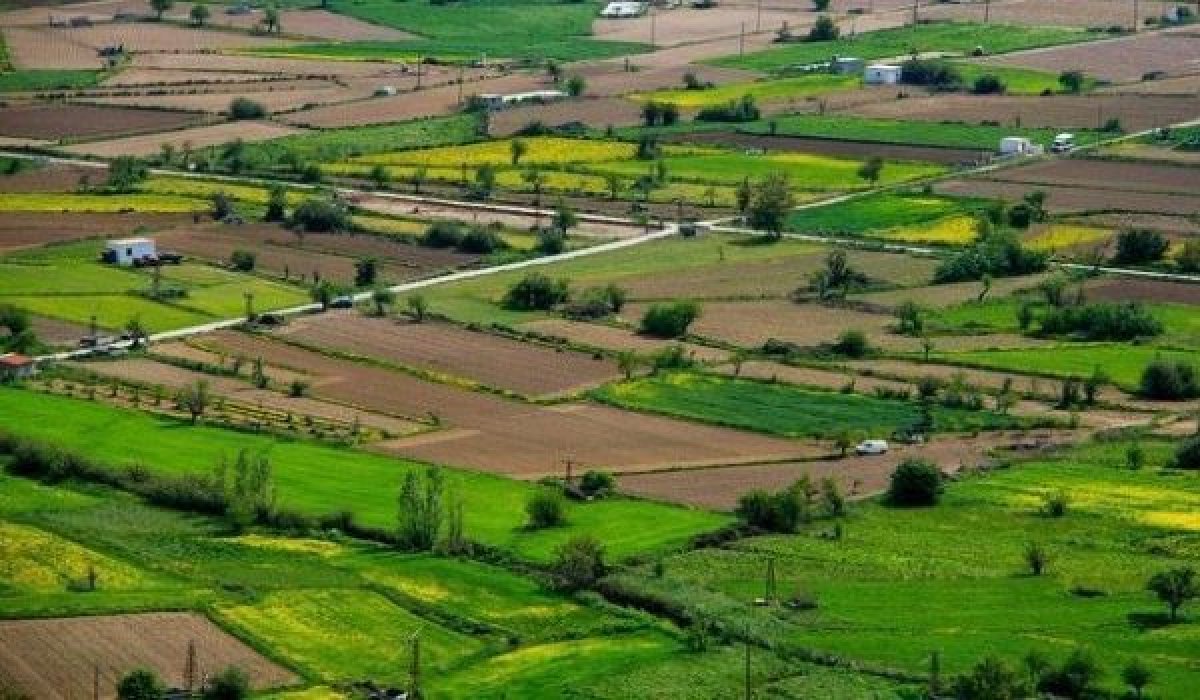 Qarabağdakı aqrar təyinatlı torpaqlar icarəyə verilir