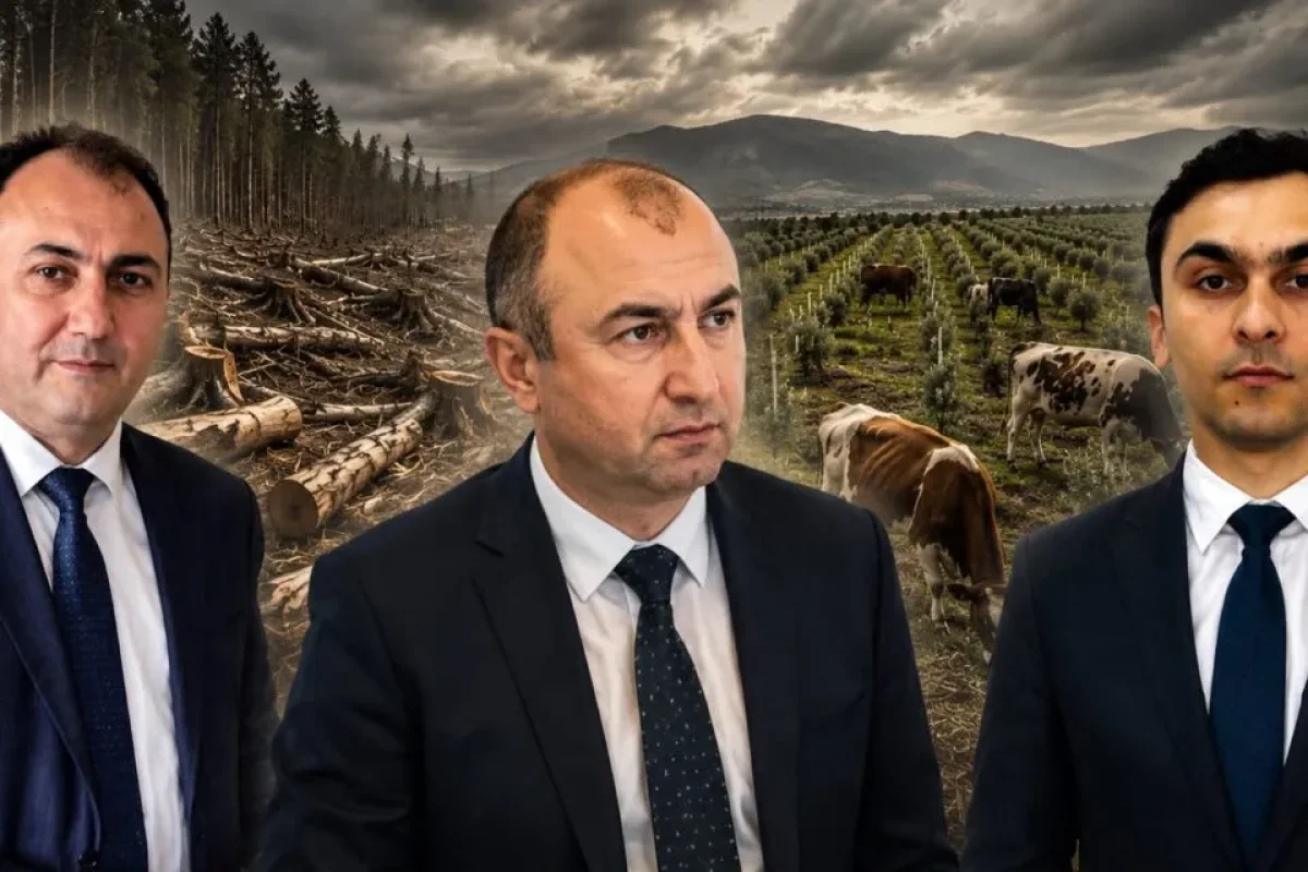 Dövlətin yaşıl siyasətini “qara biznes”ə çevirənlər… - Ekologiyanın “boz kardinalı”na ağır ittihamlar