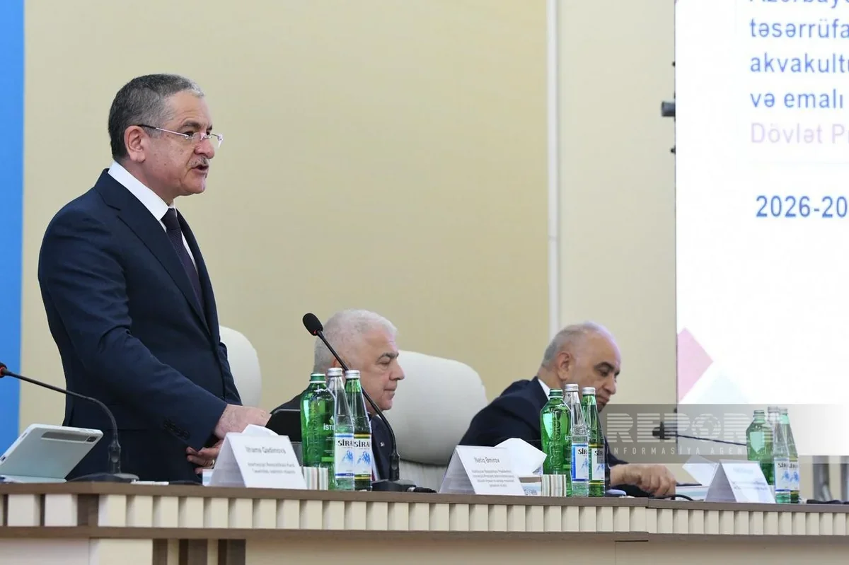 Prezidentin köməkçisi: "İcra hakimiyyətləri qarşısında yeni vəzifələr müəyyən edilib"